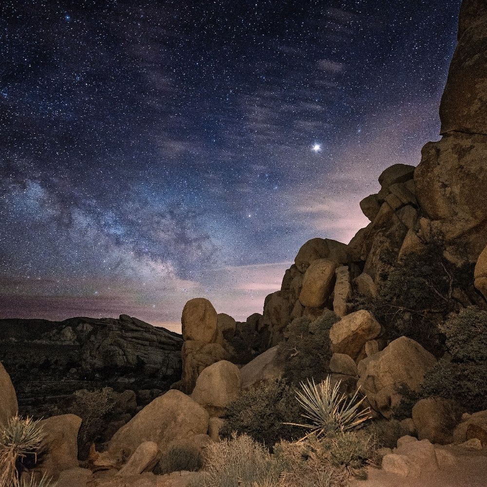 Oh, And The Stars! - Picture 7 of 8